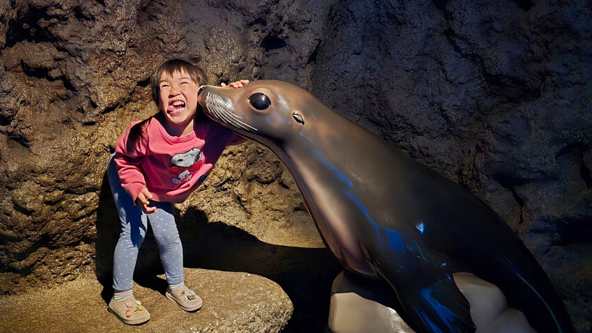 花蓮遠雄海洋公園親親海洋夜未眠 近距離與海豚海獅親近,夜探水族館,與魚共眠超好玩親子行程推薦! - 奇奇一起玩樂趣