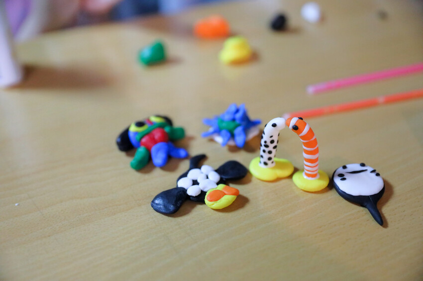 屏東親子旅遊推薦! 夜宿海生館 與魚兒共眠 住宿屏東海生館,後場飼育體驗+夜間探索+潮間帶生態觀察 - 奇奇一起玩樂趣