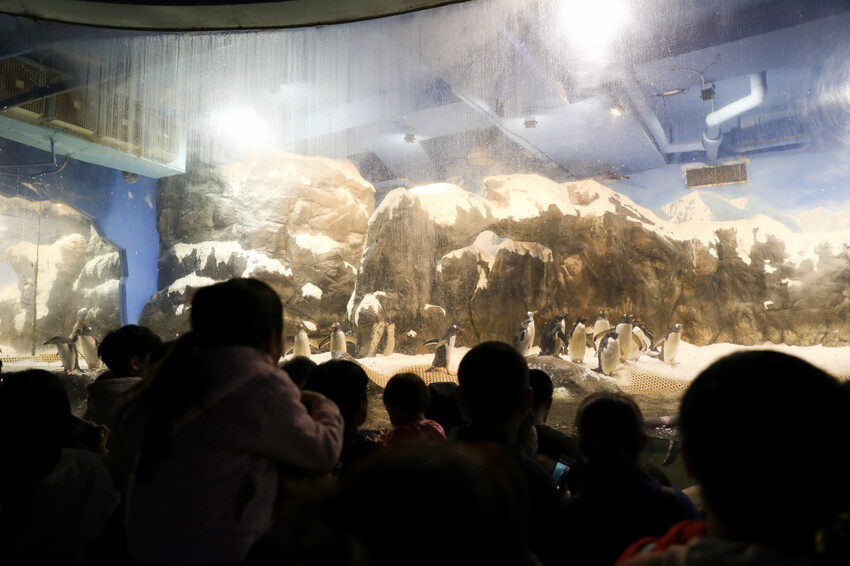 屏東親子旅遊推薦! 夜宿海生館 與魚兒共眠 住宿屏東海生館,後場飼育體驗+夜間探索+潮間帶生態觀察 - 奇奇一起玩樂趣