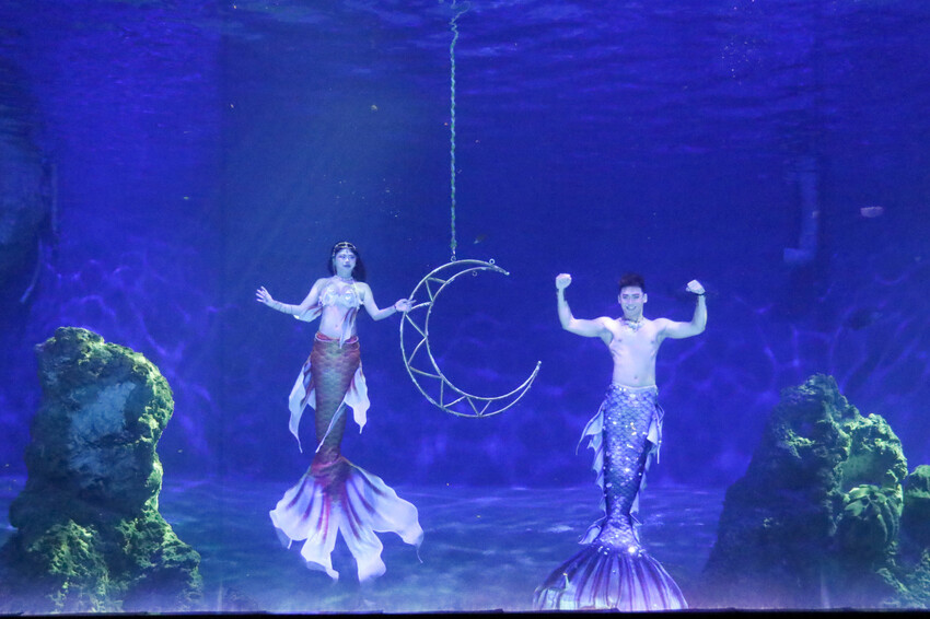 花蓮遠雄海洋公園親親海洋夜未眠 近距離與海豚海獅親近,夜探水族館,與魚共眠超好玩親子行程推薦! - 奇奇一起玩樂趣