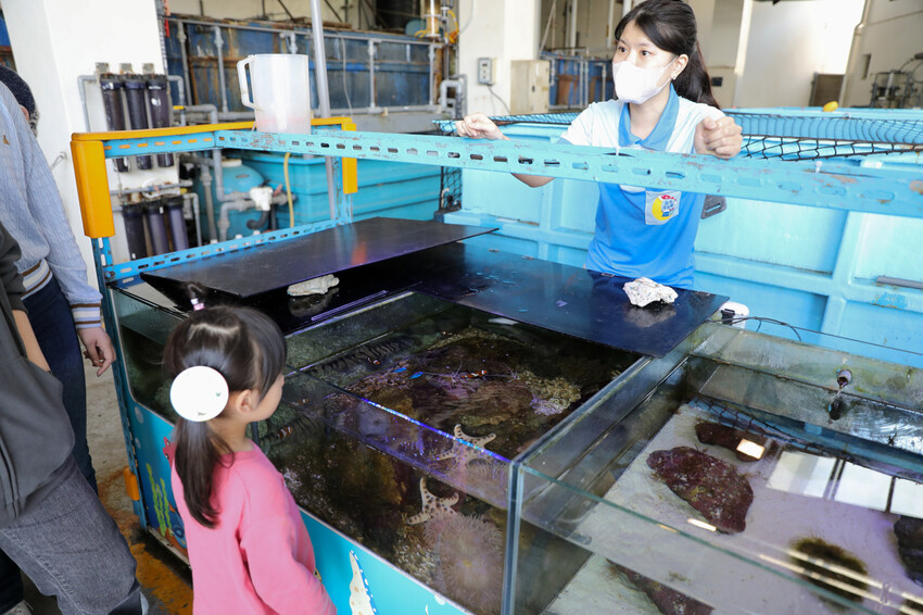 花蓮遠雄海洋公園親親海洋夜未眠 近距離與海豚海獅親近,夜探水族館,與魚共眠超好玩親子行程推薦! - 奇奇一起玩樂趣