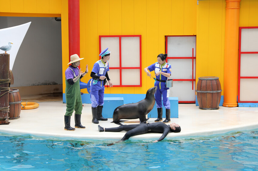 花蓮遠雄海洋公園親親海洋夜未眠 近距離與海豚海獅親近,夜探水族館,與魚共眠超好玩親子行程推薦! - 奇奇一起玩樂趣