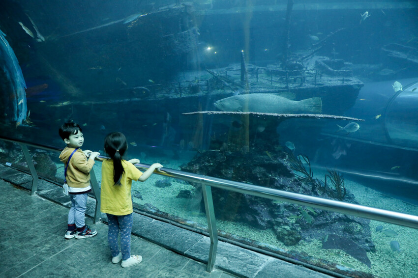 屏東親子旅遊推薦! 夜宿海生館 與魚兒共眠 住宿屏東海生館,後場飼育體驗+夜間探索+潮間帶生態觀察 - 奇奇一起玩樂趣