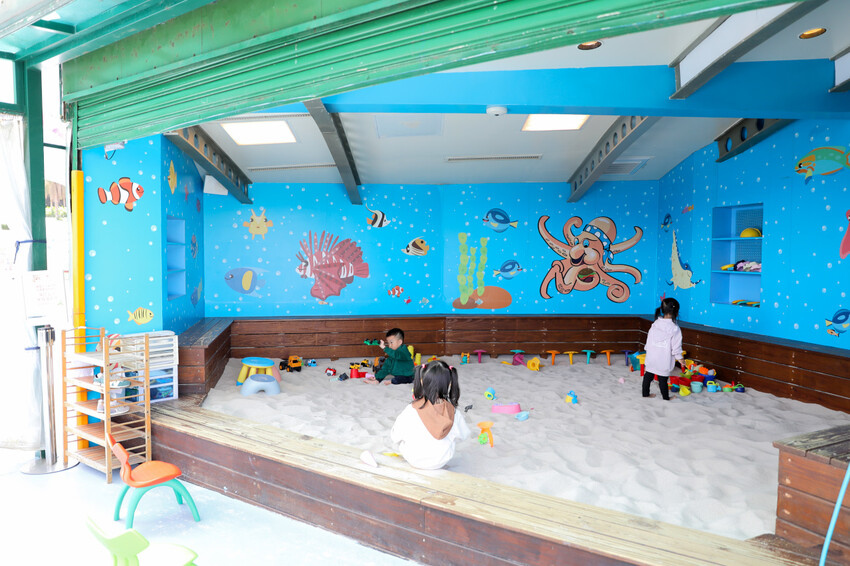 花蓮遠雄海洋公園親親海洋夜未眠 近距離與海豚海獅親近,夜探水族館,與魚共眠超好玩親子行程推薦! - 奇奇一起玩樂趣