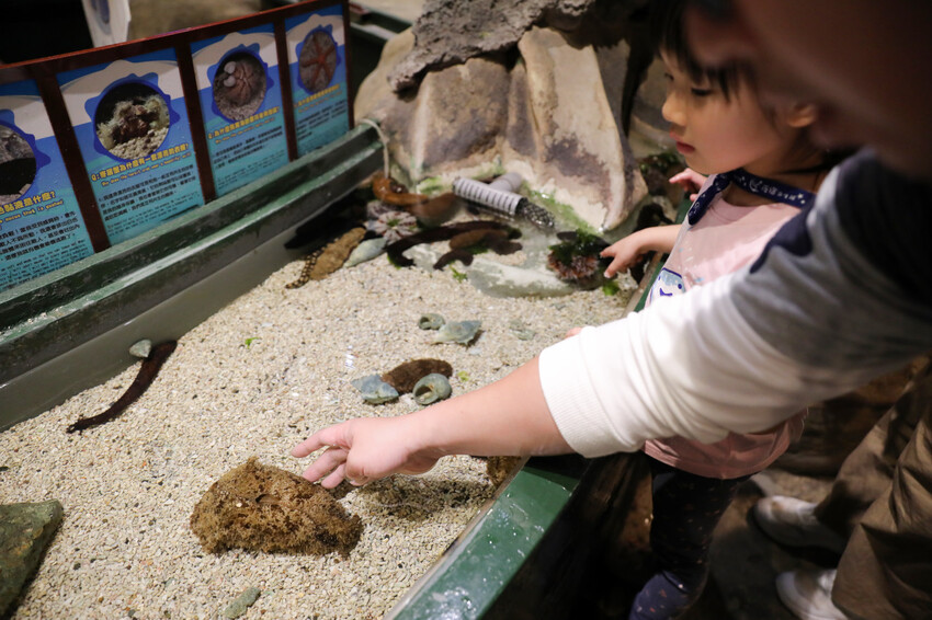 屏東親子旅遊推薦! 夜宿海生館 與魚兒共眠 住宿屏東海生館,後場飼育體驗+夜間探索+潮間帶生態觀察 - 奇奇一起玩樂趣