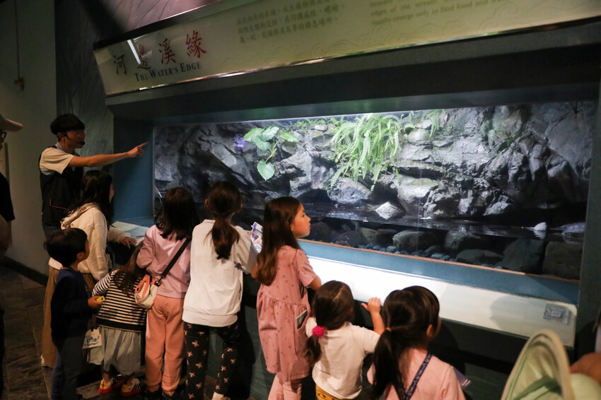 屏東親子旅遊推薦! 夜宿海生館 與魚兒共眠 住宿屏東海生館,後場飼育體驗+夜間探索+潮間帶生態觀察 - 奇奇一起玩樂趣