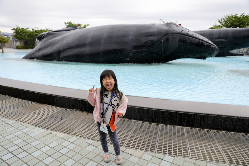 屏東親子旅遊推薦! 夜宿海生館 與魚兒共眠 住宿屏東海生館,後場飼育體驗+夜間探索+潮間帶生態觀察 - 奇奇一起玩樂趣