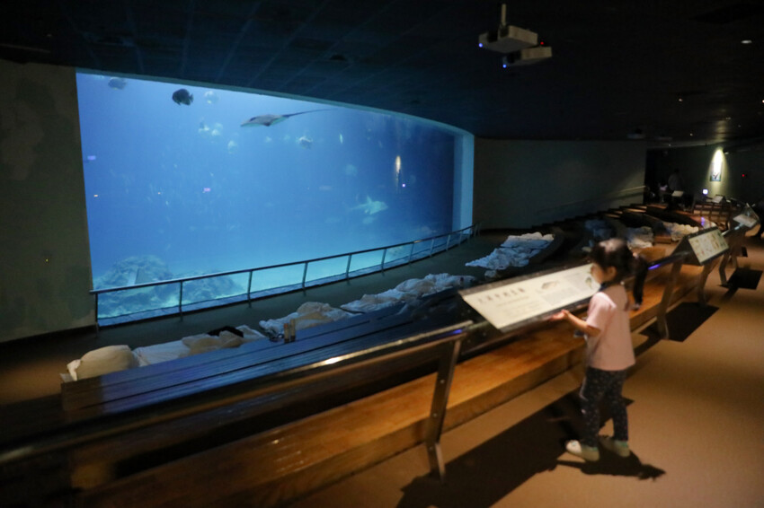 屏東親子旅遊推薦! 夜宿海生館 與魚兒共眠 住宿屏東海生館,後場飼育體驗+夜間探索+潮間帶生態觀察 - 奇奇一起玩樂趣