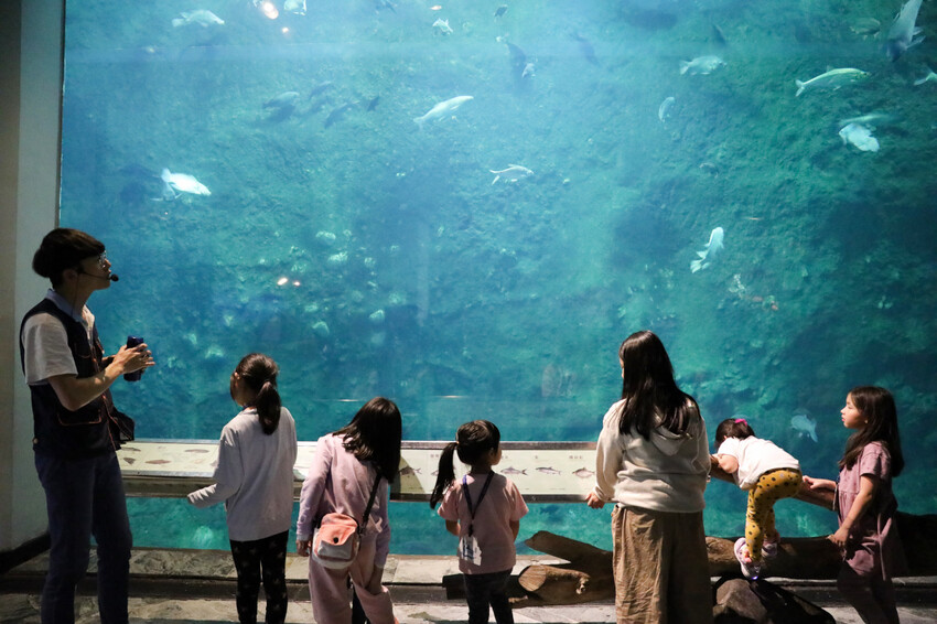 屏東親子旅遊推薦! 夜宿海生館 與魚兒共眠 住宿屏東海生館,後場飼育體驗+夜間探索+潮間帶生態觀察 - 奇奇一起玩樂趣