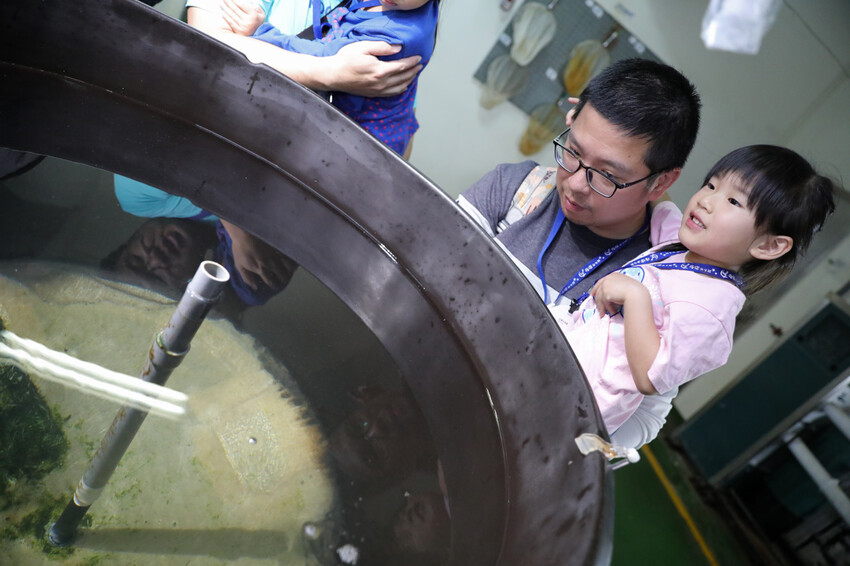 屏東親子旅遊推薦! 夜宿海生館 與魚兒共眠 住宿屏東海生館,後場飼育體驗+夜間探索+潮間帶生態觀察 - 奇奇一起玩樂趣