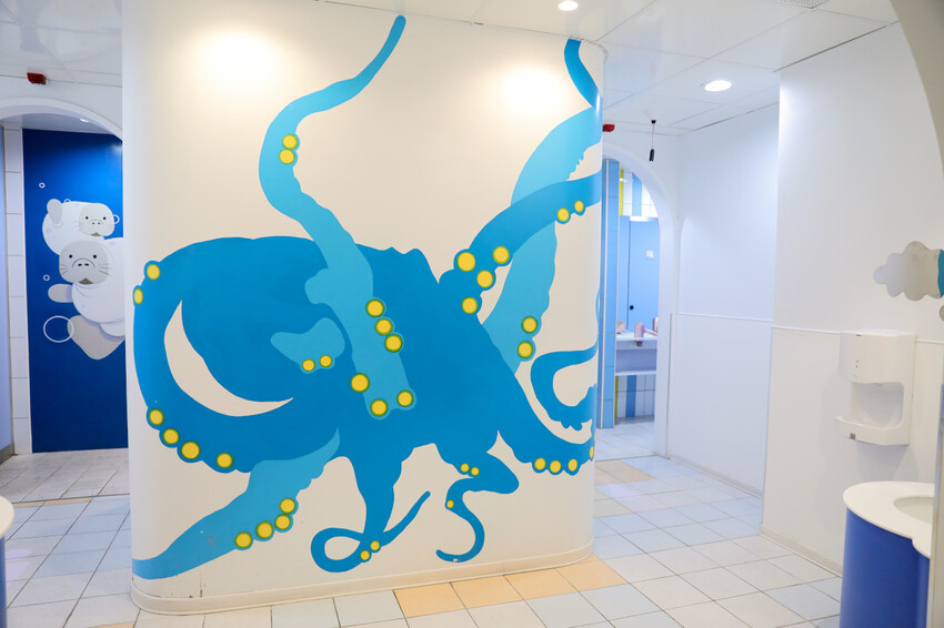 花蓮遠雄海洋公園親親海洋夜未眠 近距離與海豚海獅親近,夜探水族館,與魚共眠超好玩親子行程推薦! - 奇奇一起玩樂趣