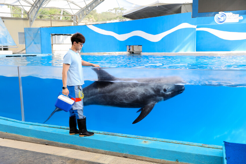 花蓮遠雄海洋公園親親海洋夜未眠 近距離與海豚海獅親近,夜探水族館,與魚共眠超好玩親子行程推薦! - 奇奇一起玩樂趣