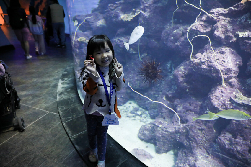 屏東親子旅遊推薦! 夜宿海生館 與魚兒共眠 住宿屏東海生館,後場飼育體驗+夜間探索+潮間帶生態觀察 - 奇奇一起玩樂趣