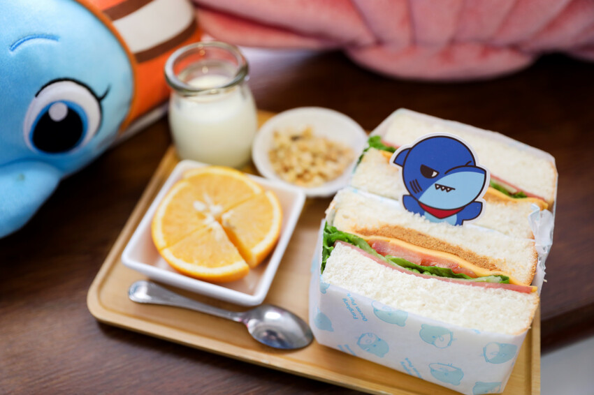 花蓮遠雄海洋公園親親海洋夜未眠 近距離與海豚海獅親近,夜探水族館,與魚共眠超好玩親子行程推薦! - 奇奇一起玩樂趣