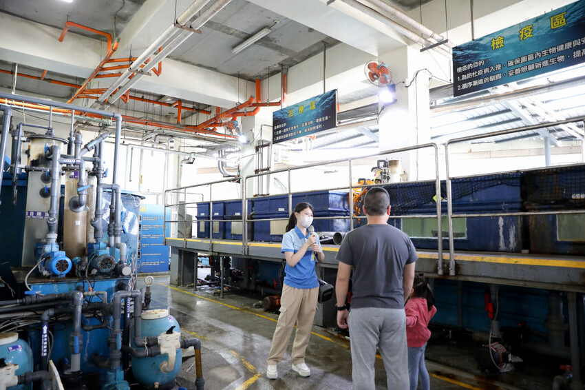 花蓮遠雄海洋公園親親海洋夜未眠 近距離與海豚海獅親近,夜探水族館,與魚共眠超好玩親子行程推薦! - 奇奇一起玩樂趣