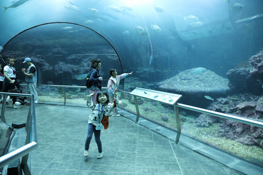 屏東親子旅遊推薦! 夜宿海生館 與魚兒共眠 住宿屏東海生館,後場飼育體驗+夜間探索+潮間帶生態觀察 - 奇奇一起玩樂趣