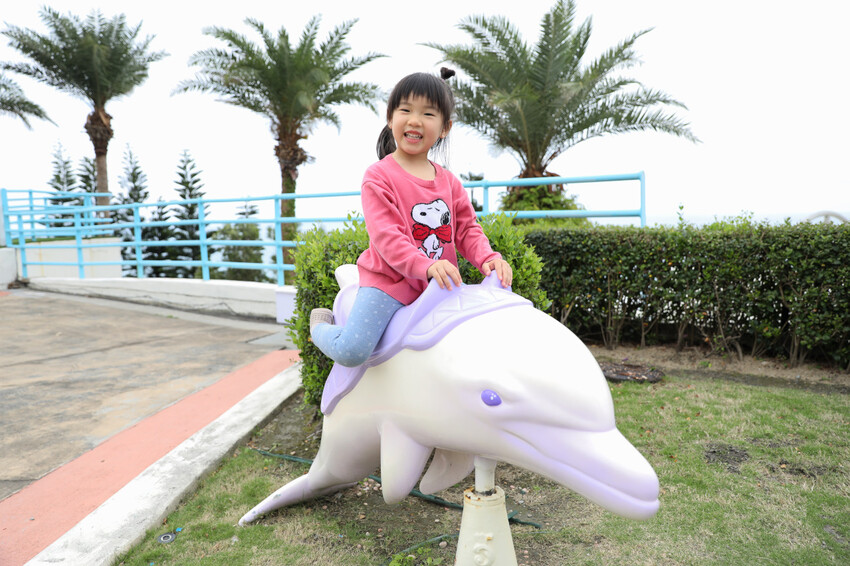 花蓮遠雄海洋公園親親海洋夜未眠 近距離與海豚海獅親近,夜探水族館,與魚共眠超好玩親子行程推薦! - 奇奇一起玩樂趣