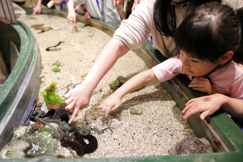 屏東親子旅遊推薦! 夜宿海生館 與魚兒共眠 住宿屏東海生館,後場飼育體驗+夜間探索+潮間帶生態觀察 - 奇奇一起玩樂趣