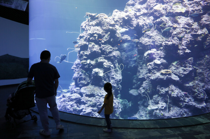 屏東親子旅遊推薦! 夜宿海生館 與魚兒共眠 住宿屏東海生館,後場飼育體驗+夜間探索+潮間帶生態觀察 - 奇奇一起玩樂趣