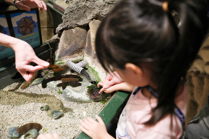 屏東親子旅遊推薦! 夜宿海生館 與魚兒共眠 住宿屏東海生館,後場飼育體驗+夜間探索+潮間帶生態觀察 - 奇奇一起玩樂趣