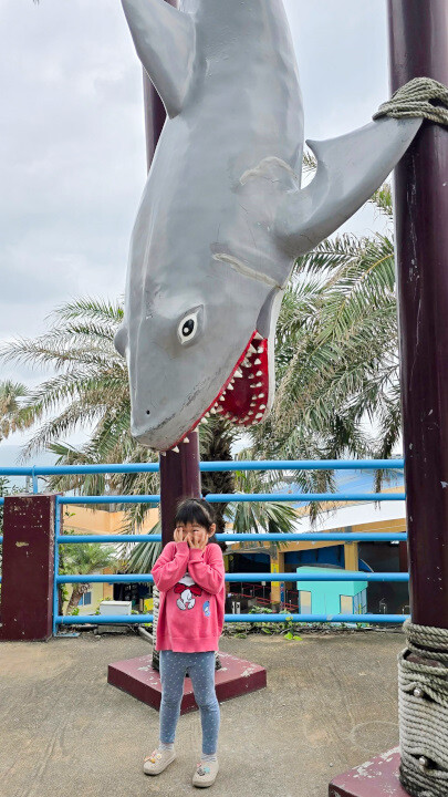 花蓮遠雄海洋公園親親海洋夜未眠 近距離與海豚海獅親近,夜探水族館,與魚共眠超好玩親子行程推薦! - 奇奇一起玩樂趣