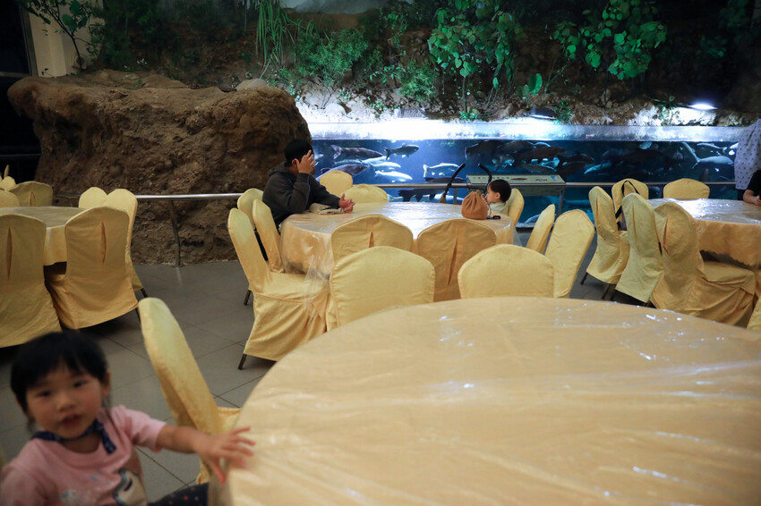 屏東親子旅遊推薦! 夜宿海生館 與魚兒共眠 住宿屏東海生館,後場飼育體驗+夜間探索+潮間帶生態觀察 - 奇奇一起玩樂趣