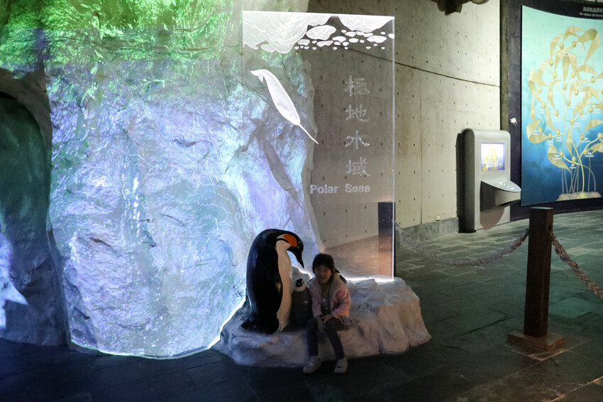 屏東親子旅遊推薦! 夜宿海生館 與魚兒共眠 住宿屏東海生館,後場飼育體驗+夜間探索+潮間帶生態觀察 - 奇奇一起玩樂趣