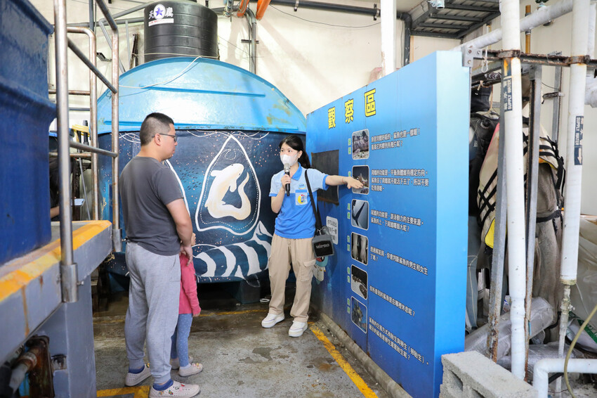花蓮遠雄海洋公園親親海洋夜未眠 近距離與海豚海獅親近,夜探水族館,與魚共眠超好玩親子行程推薦! - 奇奇一起玩樂趣