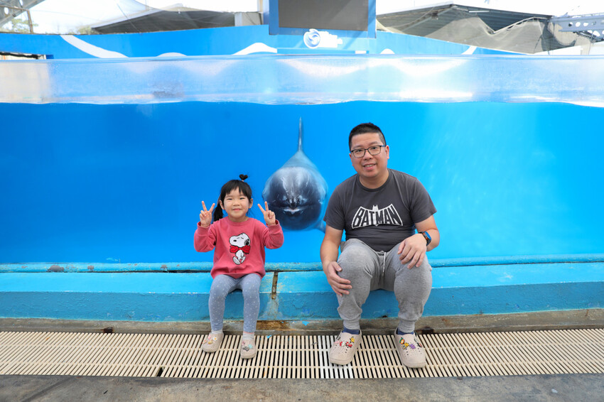 花蓮遠雄海洋公園親親海洋夜未眠 近距離與海豚海獅親近,夜探水族館,與魚共眠超好玩親子行程推薦! - 奇奇一起玩樂趣