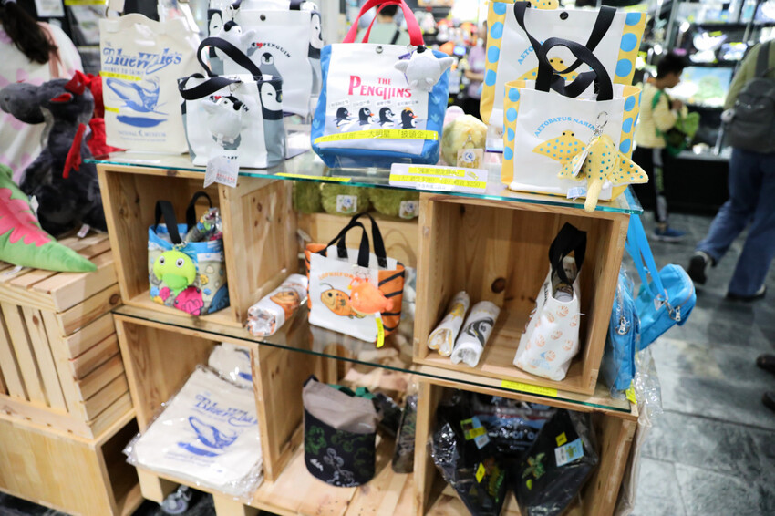 屏東親子旅遊推薦! 夜宿海生館 與魚兒共眠 住宿屏東海生館,後場飼育體驗+夜間探索+潮間帶生態觀察 - 奇奇一起玩樂趣