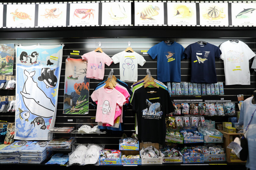 屏東親子旅遊推薦! 夜宿海生館 與魚兒共眠 住宿屏東海生館,後場飼育體驗+夜間探索+潮間帶生態觀察 - 奇奇一起玩樂趣