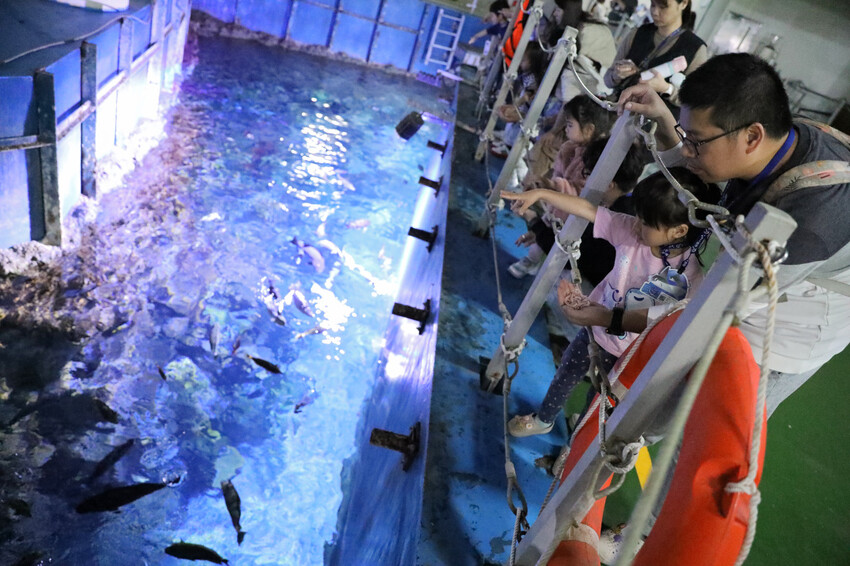 屏東親子旅遊推薦! 夜宿海生館 與魚兒共眠 住宿屏東海生館,後場飼育體驗+夜間探索+潮間帶生態觀察 - 奇奇一起玩樂趣