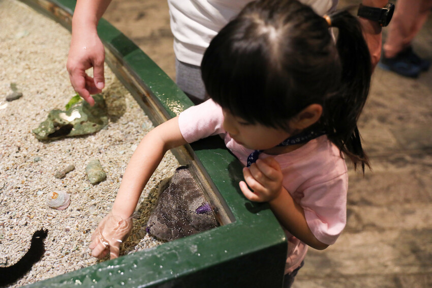 屏東親子旅遊推薦! 夜宿海生館 與魚兒共眠 住宿屏東海生館,後場飼育體驗+夜間探索+潮間帶生態觀察 - 奇奇一起玩樂趣
