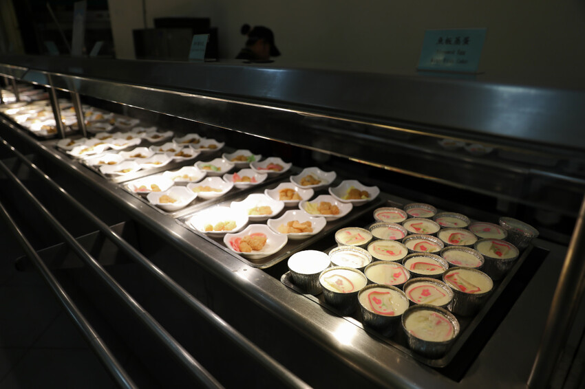 屏東親子旅遊推薦! 夜宿海生館 與魚兒共眠 住宿屏東海生館,後場飼育體驗+夜間探索+潮間帶生態觀察 - 奇奇一起玩樂趣