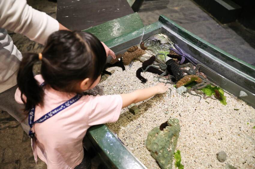 屏東親子旅遊推薦! 夜宿海生館 與魚兒共眠 住宿屏東海生館,後場飼育體驗+夜間探索+潮間帶生態觀察 - 奇奇一起玩樂趣