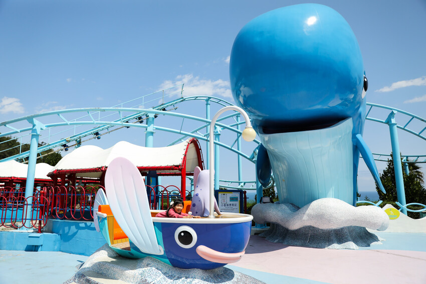 花蓮遠雄海洋公園親親海洋夜未眠 近距離與海豚海獅親近,夜探水族館,與魚共眠超好玩親子行程推薦! - 奇奇一起玩樂趣