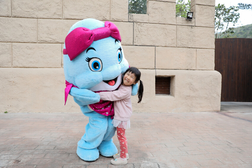 花蓮遠雄海洋公園親親海洋夜未眠 近距離與海豚海獅親近,夜探水族館,與魚共眠超好玩親子行程推薦! - 奇奇一起玩樂趣