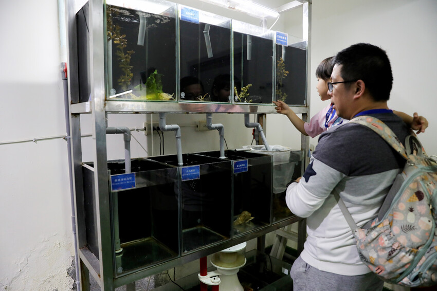 屏東親子旅遊推薦! 夜宿海生館 與魚兒共眠 住宿屏東海生館,後場飼育體驗+夜間探索+潮間帶生態觀察 - 奇奇一起玩樂趣