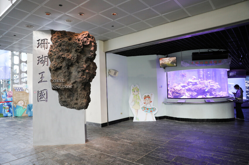 屏東親子旅遊推薦! 夜宿海生館 與魚兒共眠 住宿屏東海生館,後場飼育體驗+夜間探索+潮間帶生態觀察 - 奇奇一起玩樂趣