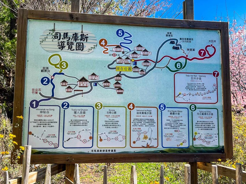 2025司馬庫斯櫻花季訂房超難搶!司馬庫斯住宿、櫻花季攻略看這篇!