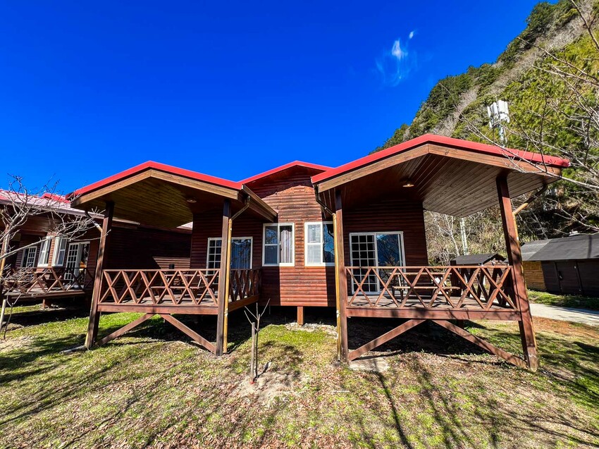 2025司馬庫斯櫻花季訂房超難搶!司馬庫斯住宿、櫻花季攻略看這篇!