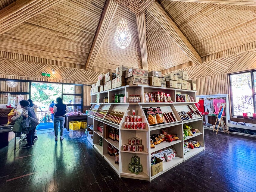 2025司馬庫斯櫻花季訂房超難搶!司馬庫斯住宿、櫻花季攻略看這篇!