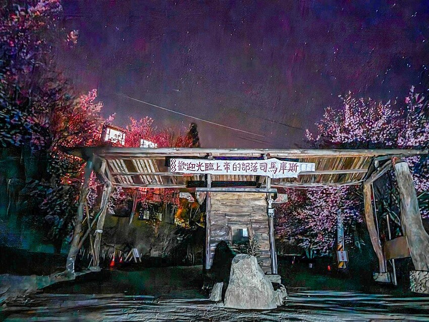 2025司馬庫斯櫻花季訂房超難搶!司馬庫斯住宿、櫻花季攻略看這篇!