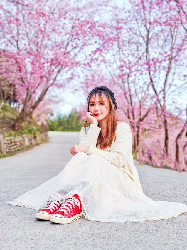 2025司馬庫斯櫻花季訂房超難搶!司馬庫斯住宿、櫻花季攻略看這篇!