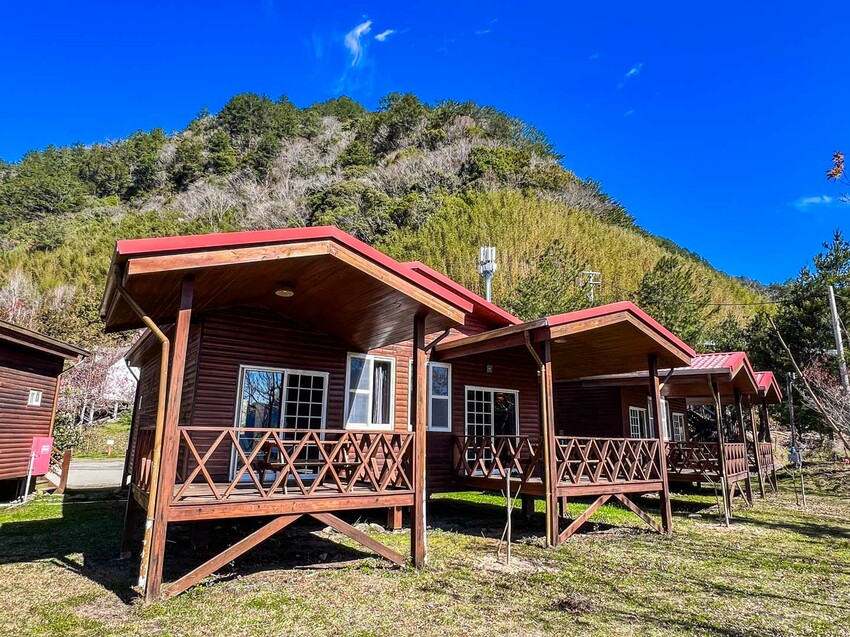 2025司馬庫斯櫻花季訂房超難搶!司馬庫斯住宿、櫻花季攻略看這篇!