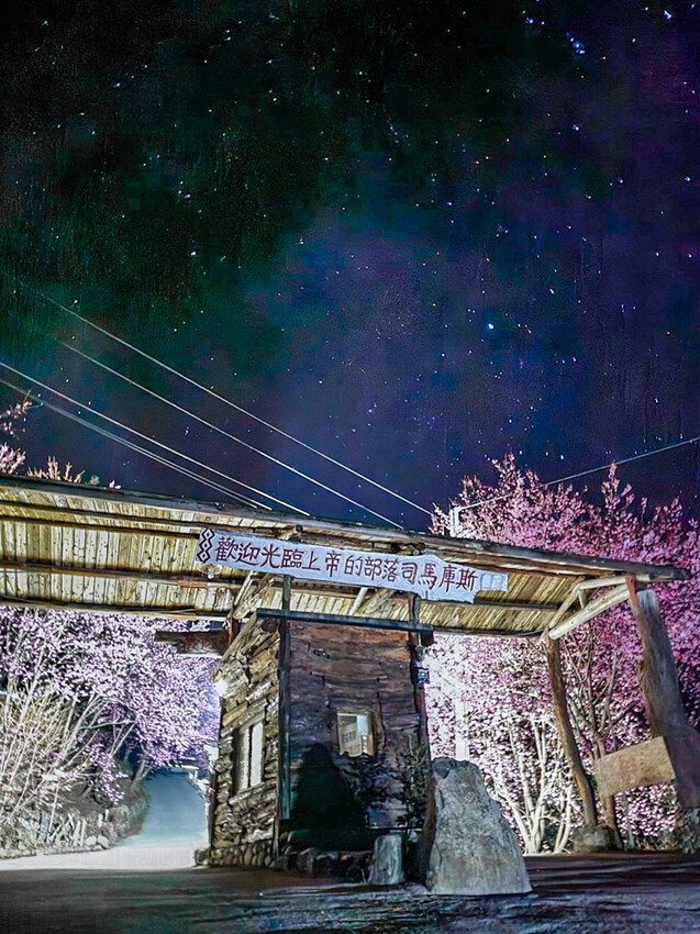 2025司馬庫斯櫻花季訂房超難搶!司馬庫斯住宿、櫻花季攻略看這篇!