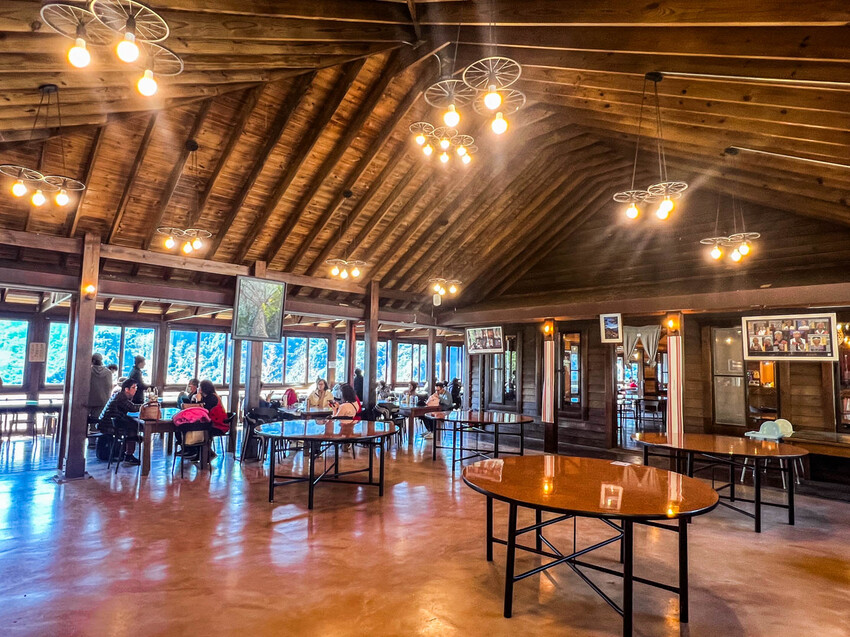 2025司馬庫斯櫻花季訂房超難搶!司馬庫斯住宿、櫻花季攻略看這篇!