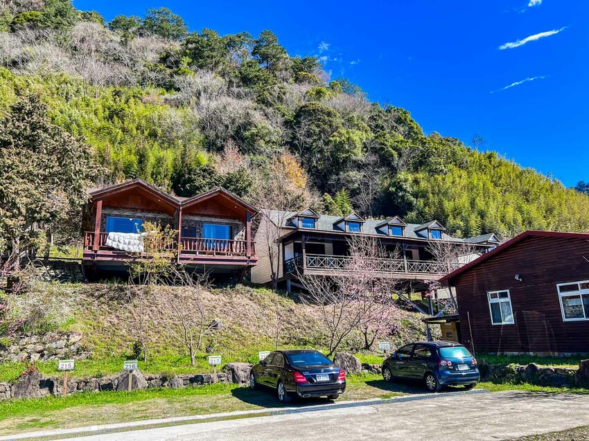 2025司馬庫斯櫻花季訂房超難搶!司馬庫斯住宿、櫻花季攻略看這篇!