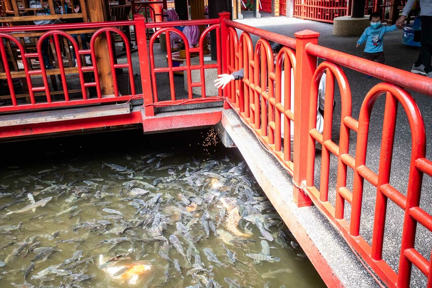 嘉義縣水上鄉白人牙膏觀光工廠｜免費！通通免費！號稱最佛心觀光工廠，不僅免門票，還送你吃冰棒，還有咖啡、汽水通通無