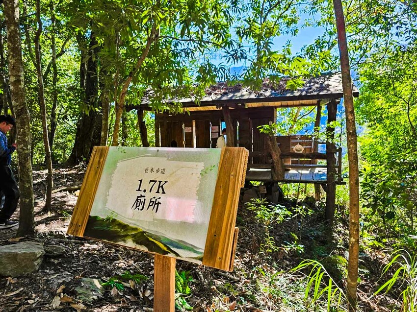 2025司馬庫斯櫻花季訂房超難搶!司馬庫斯住宿、櫻花季攻略看這篇!